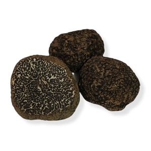 TRUFA NEGRA FRESCA (TUBER MELANOSPORUM)