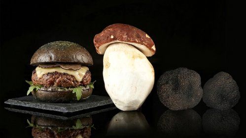 Setas la base de los alimentos plant based