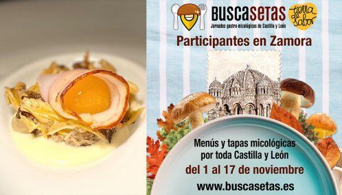 Buscasetas