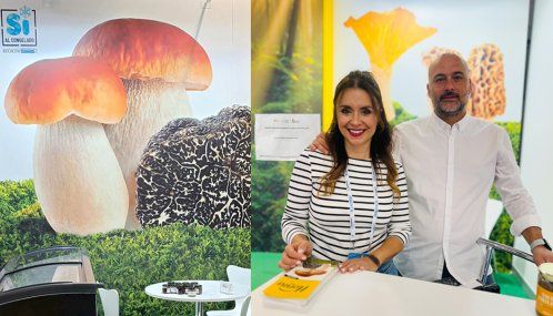 Conxemar 2025   Honza