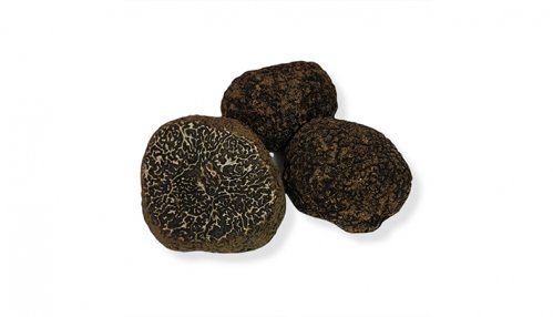 Trufa negra