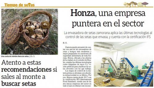 Tiempo de setas   especial micología   Honza