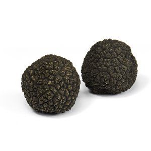 FRESH SUMMER TRUFFLE