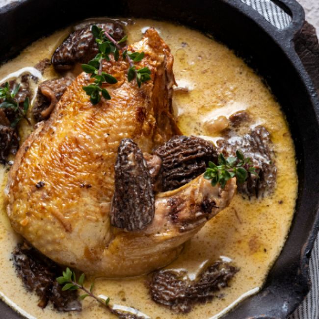 Poultry breasts with morels