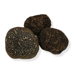 FRESH BLACK TRUFFLE