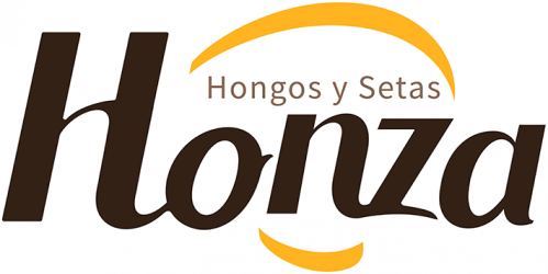 Honza Hongos y setas