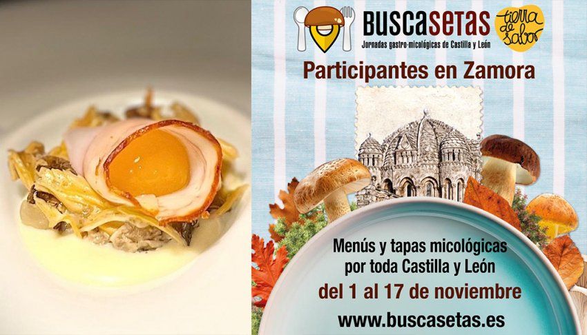 Buscasetas