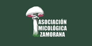 asociación micológica zamorana