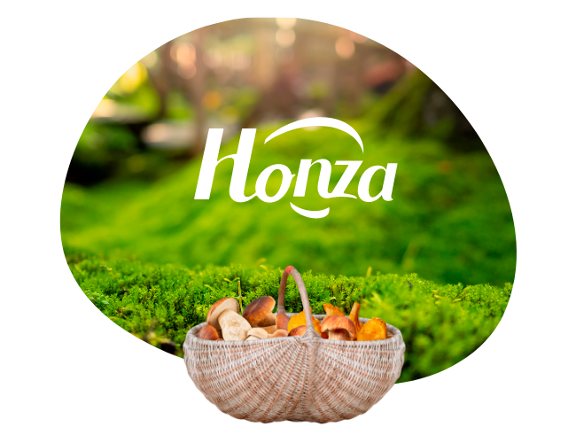 Contactar con Honza