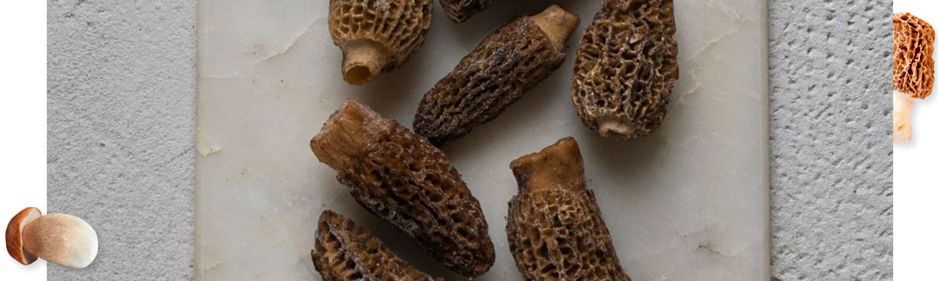 mushroom sale